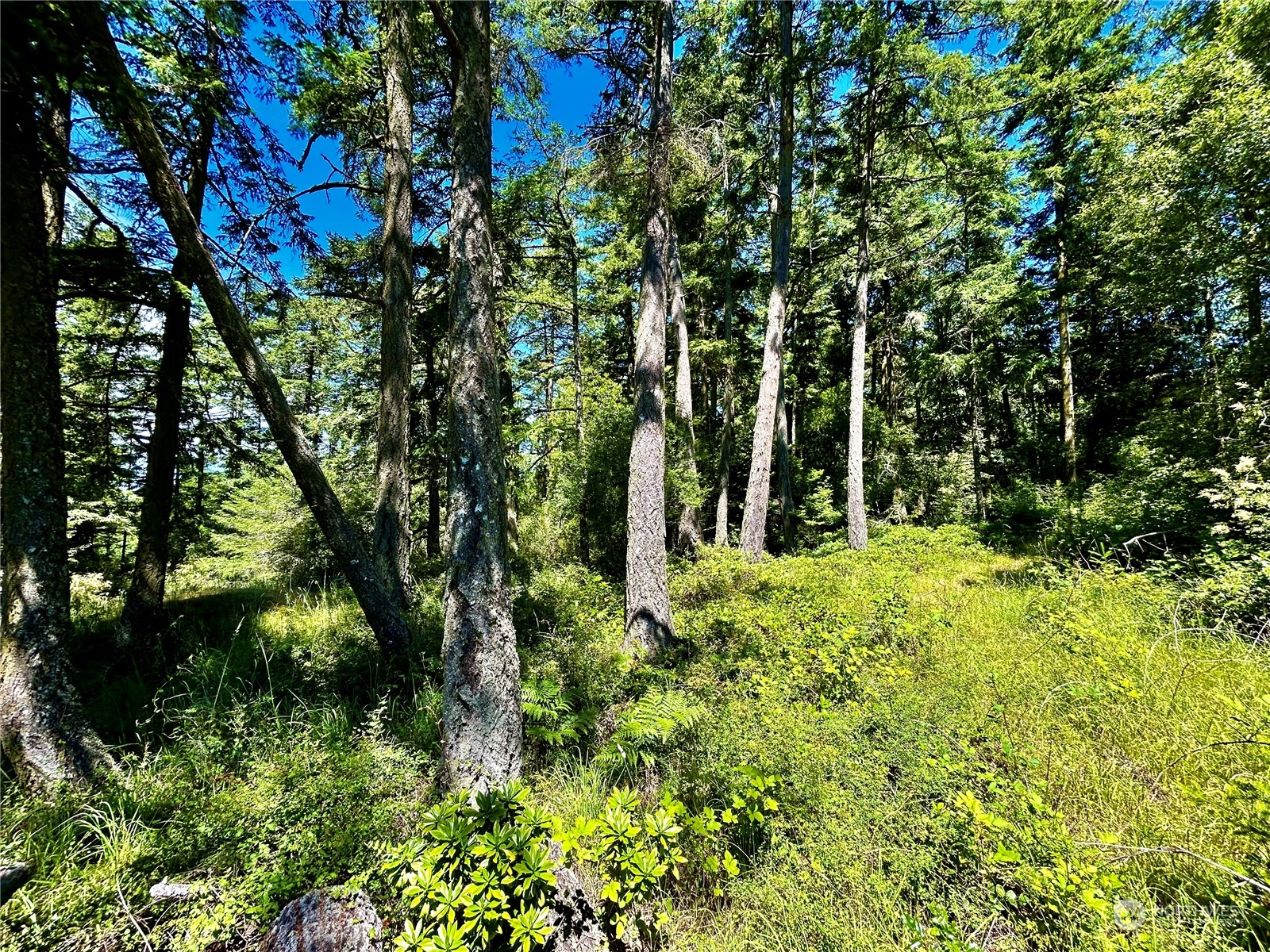 0 Salmonberry Lane , Friday Harbor, WA 98250