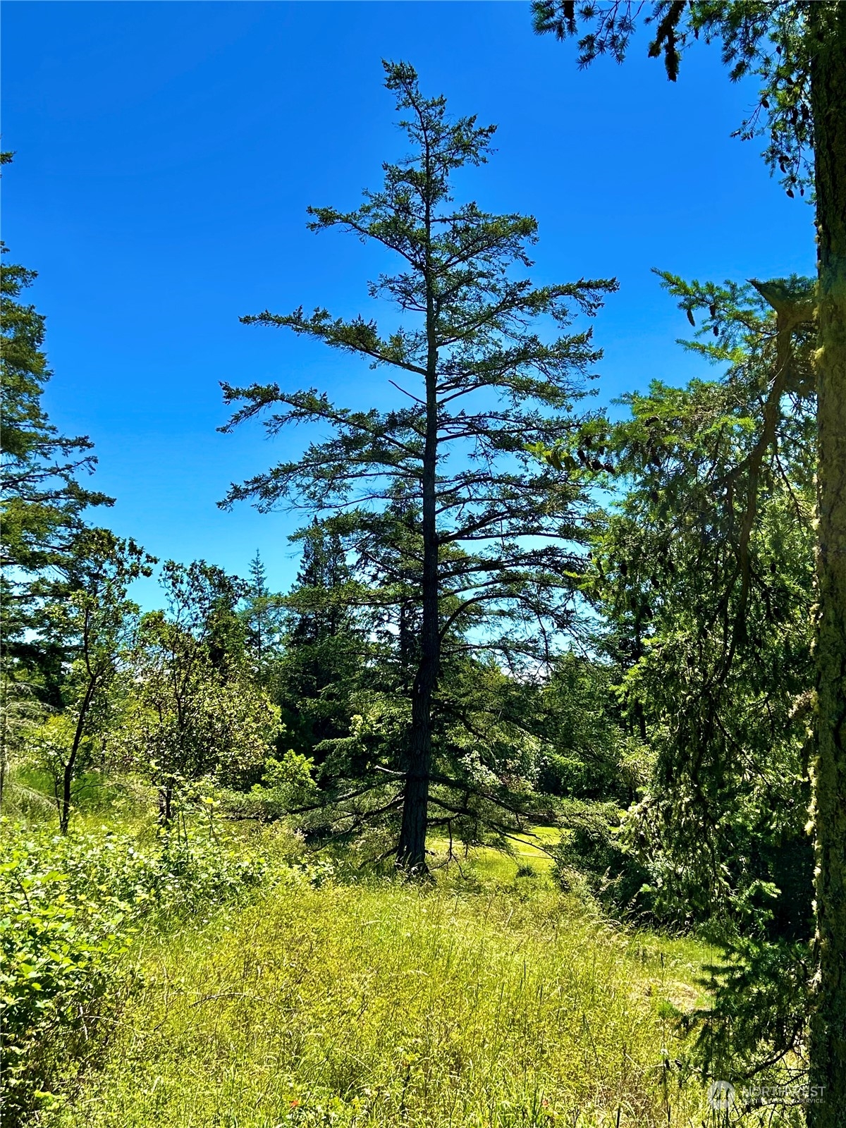 0 Salmonberry Lane , Friday Harbor, WA 98250
