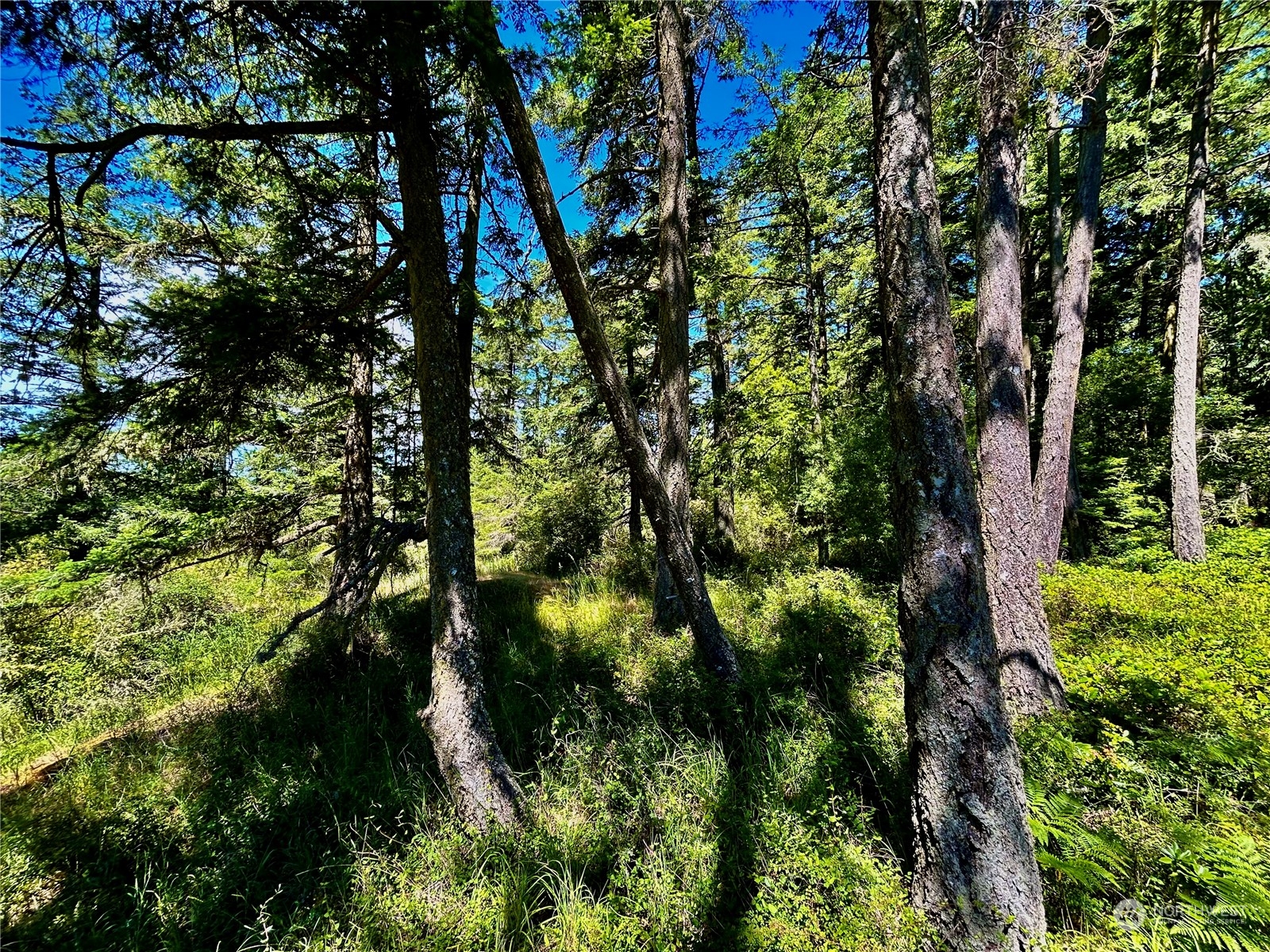 0 Salmonberry Lane , Friday Harbor, WA 98250