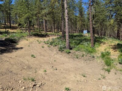 305 Sunrise Way , East Wenatchee, WA 98802 - Photo 17