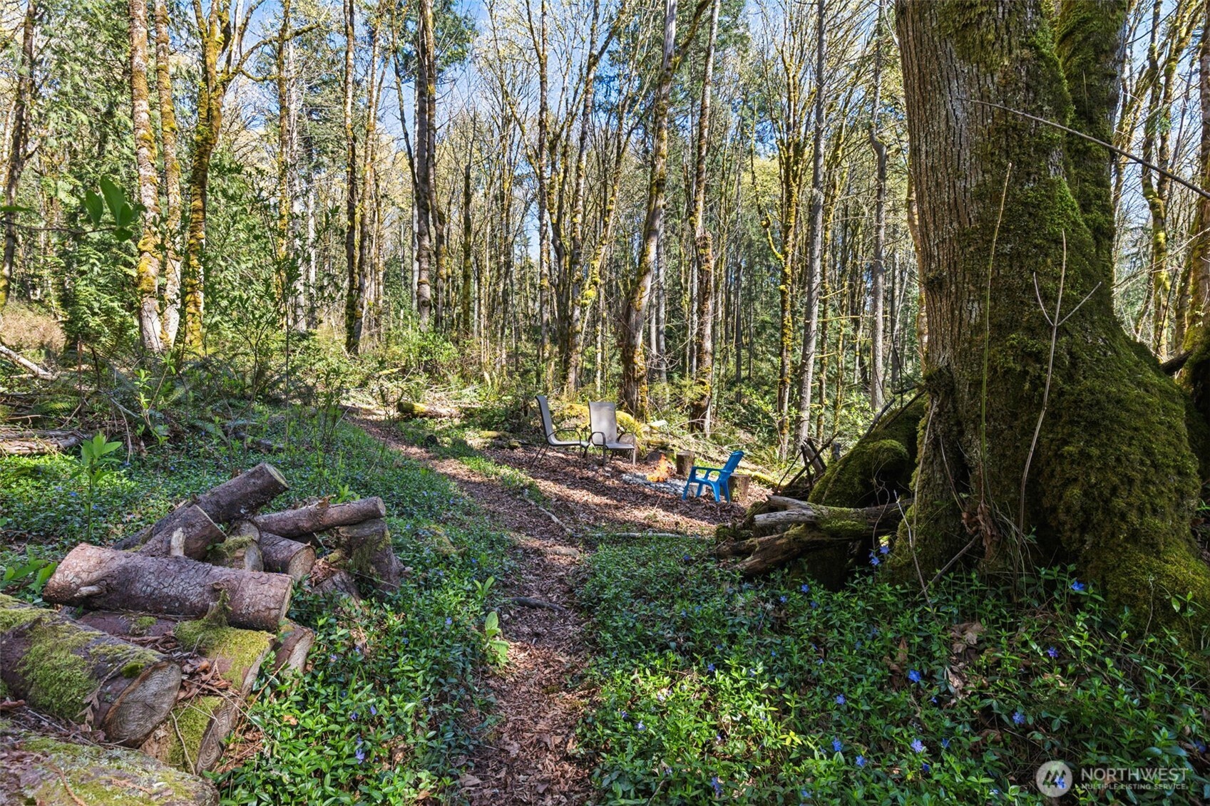 7238 Lakemont Boulevard SE, Bellevue, WA 98006