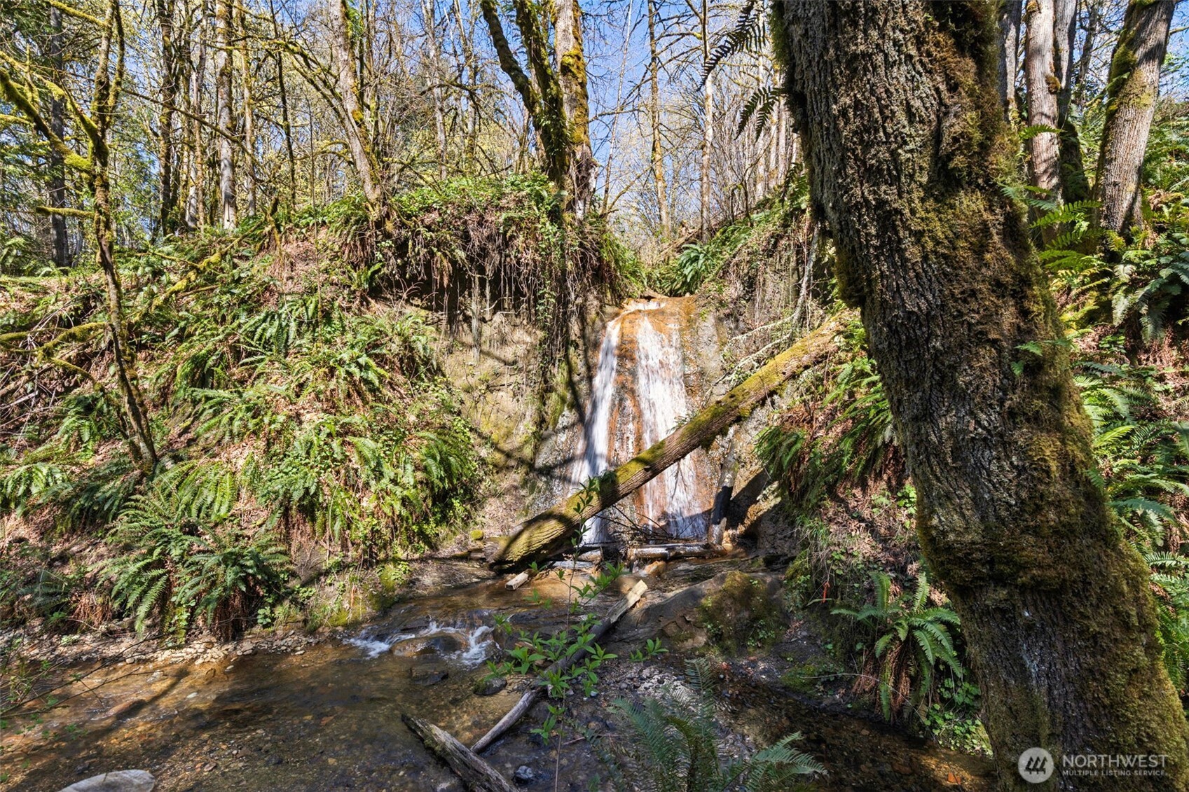 7238 Lakemont Boulevard SE, Bellevue, WA 98006