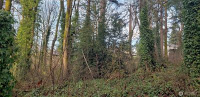 26 XX SW 308th Street , Federal Way, WA 98023 - Photo 12