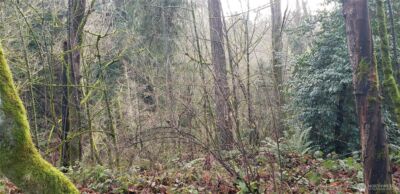 26 XX SW 308th Street , Federal Way, WA 98023 - Photo 15