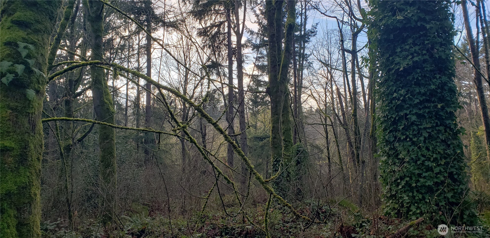 26 XX SW 308th Street , Federal Way, WA 98023