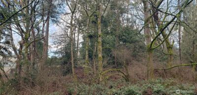 26 XX SW 308th Street , Federal Way, WA 98023 - Photo 19