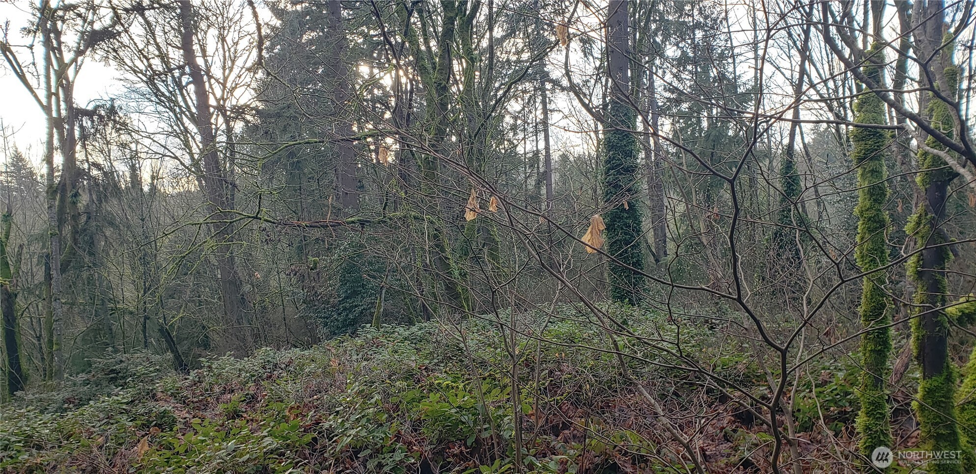 26 XX SW 308th Street , Federal Way, WA 98023