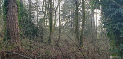 26 XX SW 308th Street , Federal Way, WA 98023 - Photo 24