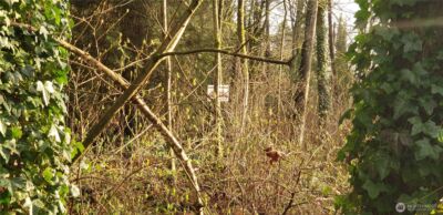 26 XX SW 308th Street , Federal Way, WA 98023 - Photo 26