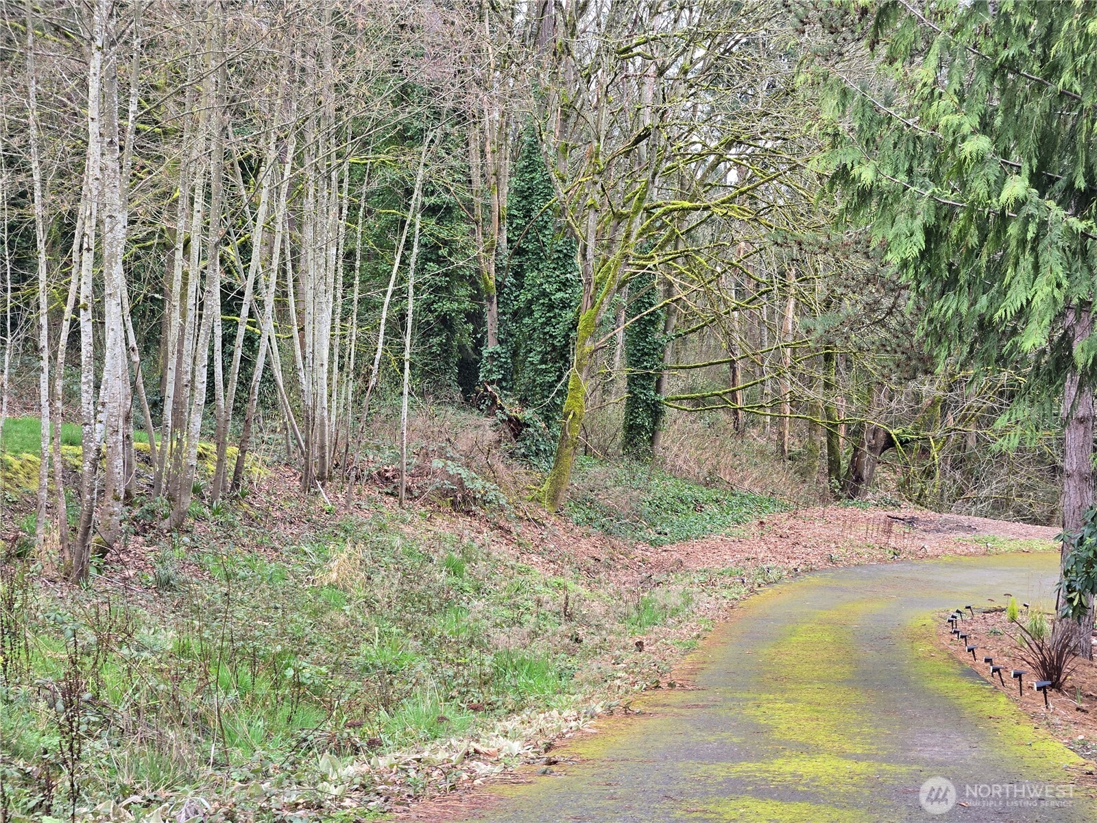 26 XX SW 308th Street , Federal Way, WA 98023