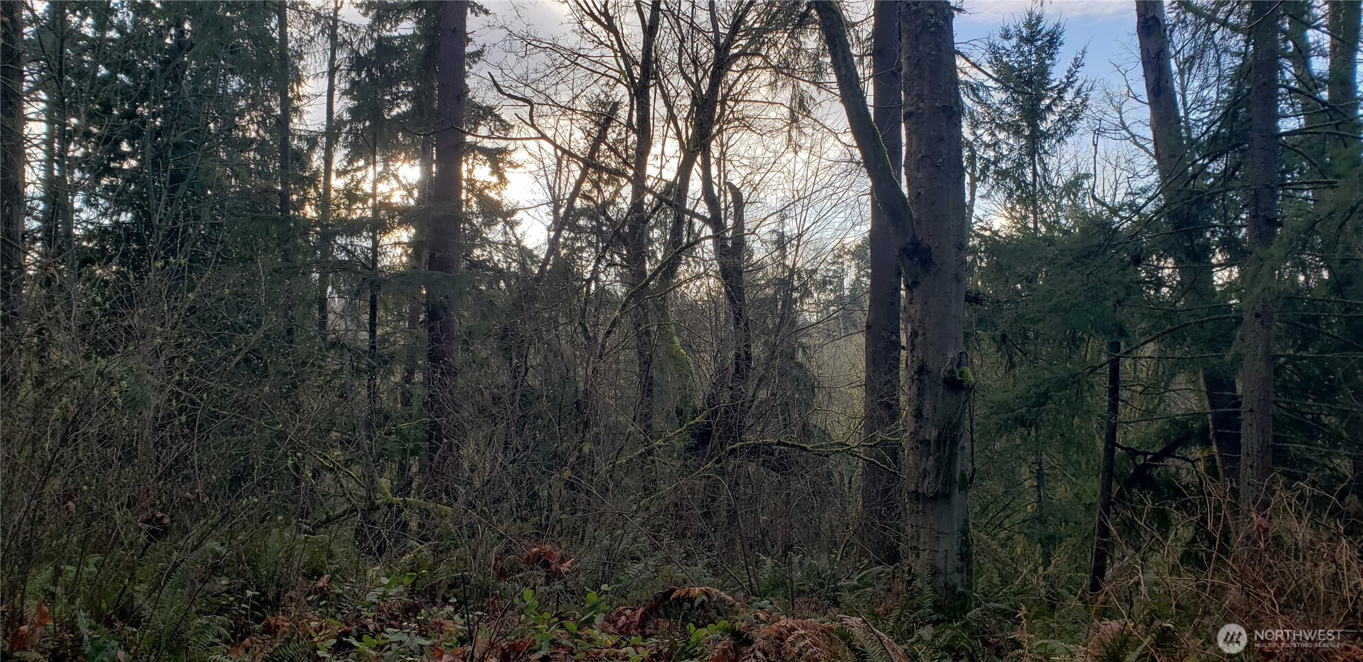 26 XX SW 308th Street , Federal Way, WA 98023