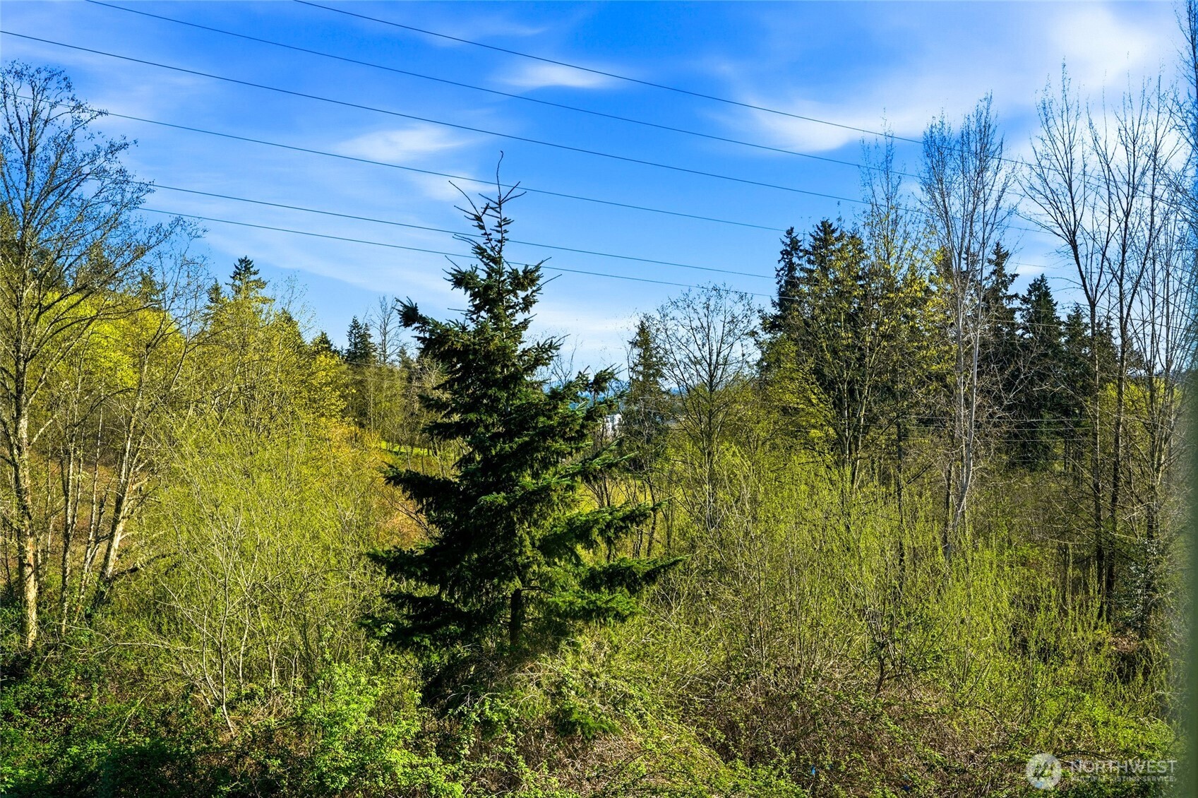 10175 156th Court NE #105, Redmond, WA 98052