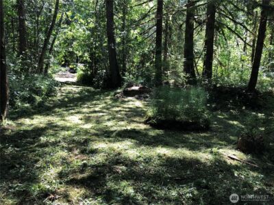 90 E Lakeshore Drive E, Shelton, WA 98584 - Photo 5