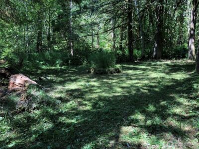 90 E Lakeshore Drive E, Shelton, WA 98584 - Photo 6