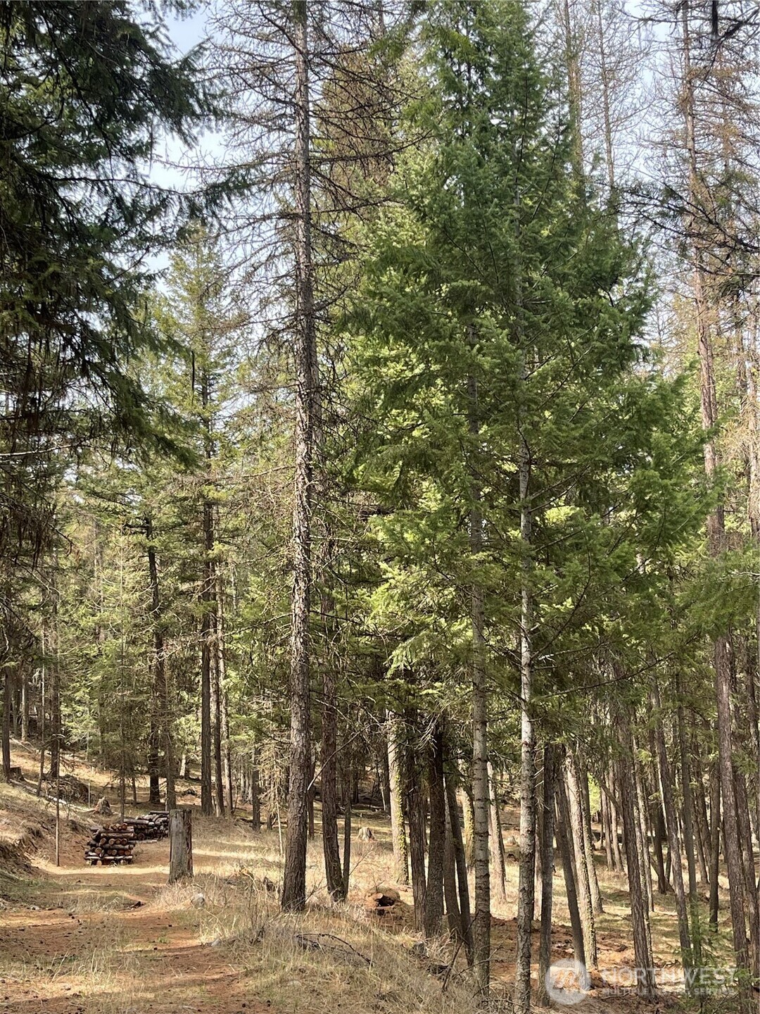 1475 Havillah Road , Tonasket, WA 98855