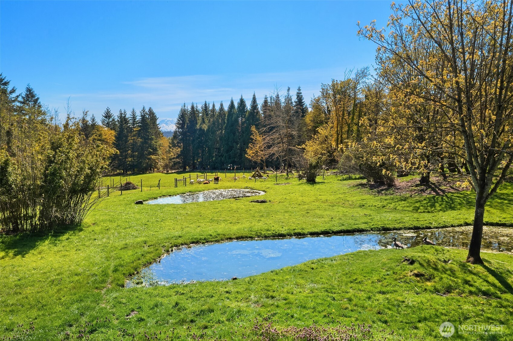 23419 107th Avenue SW, Vashon, WA 98070