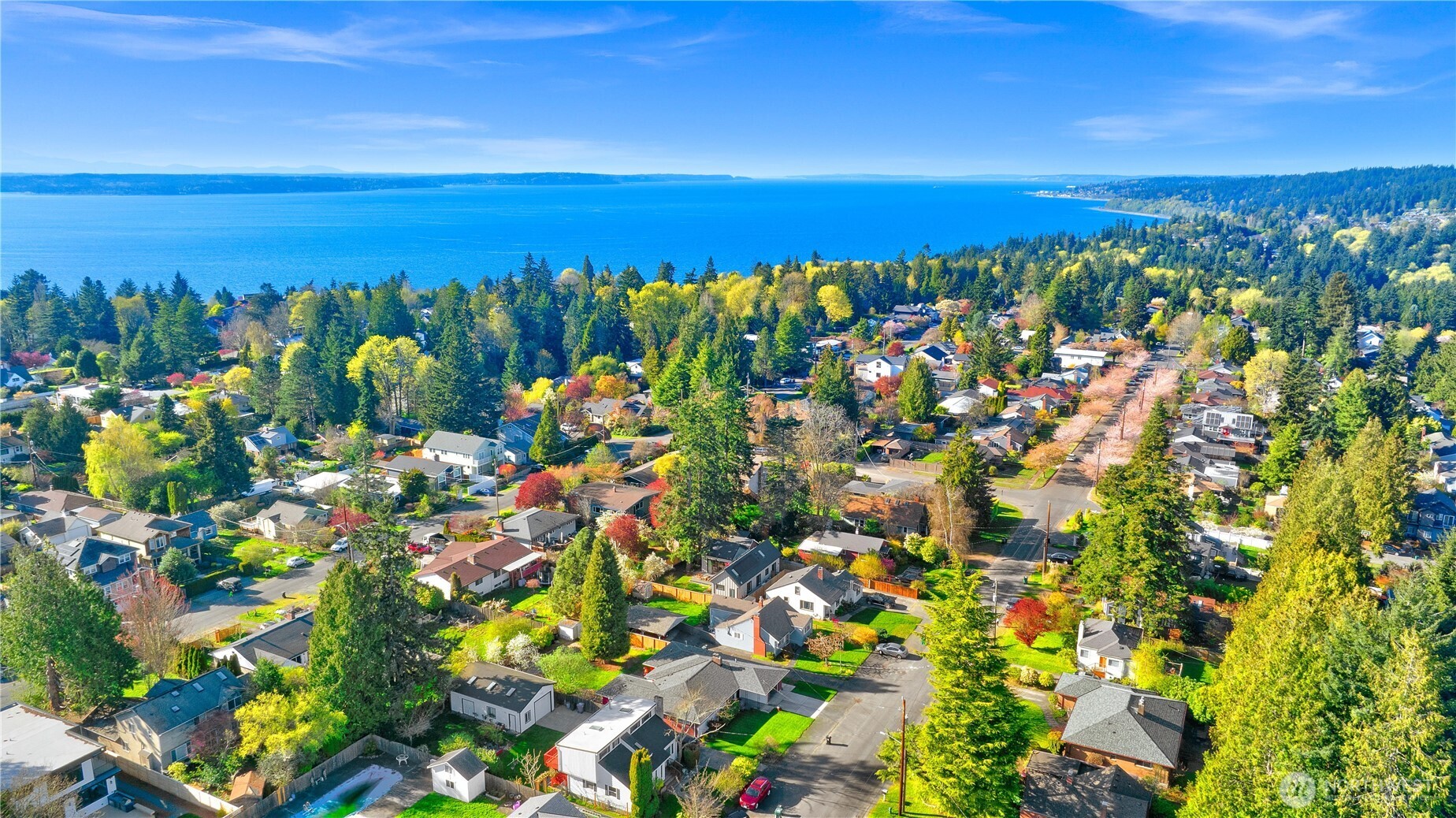 10039 13th Avenue NW, Seattle, WA 98177