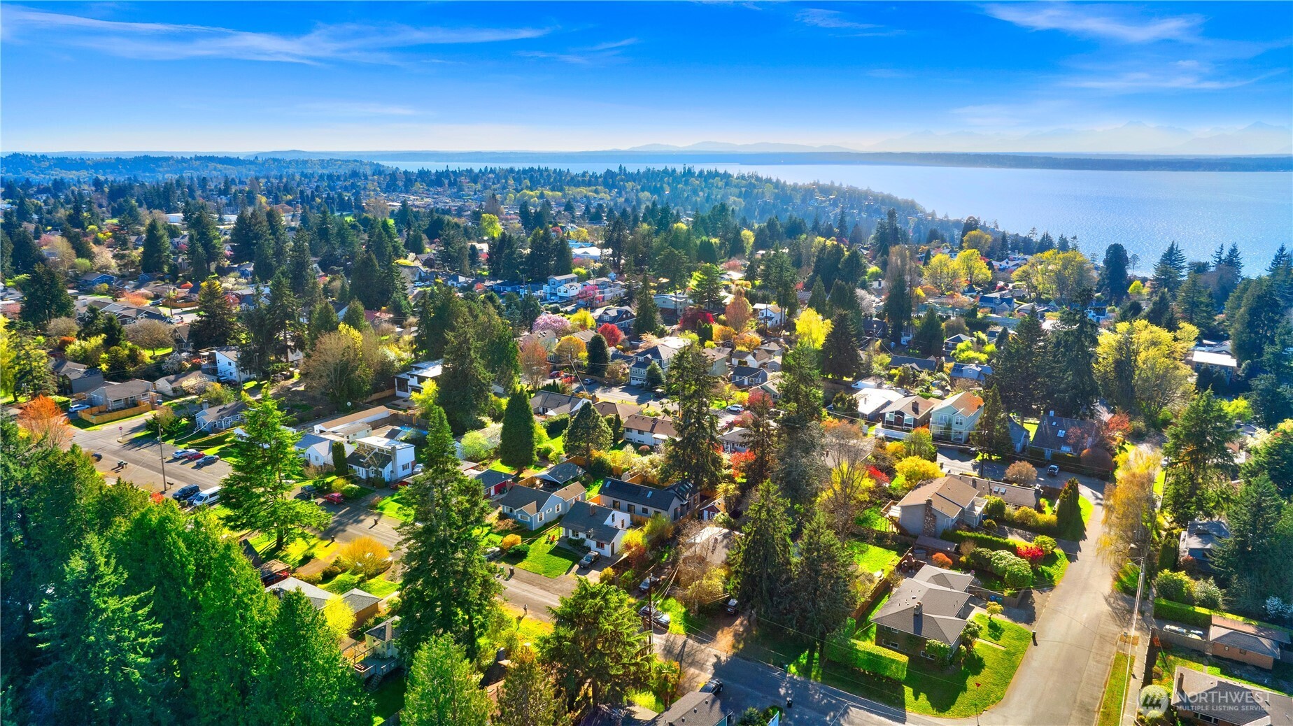 10039 13th Avenue NW, Seattle, WA 98177