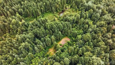 344 XX 102nd Way NE, Carnation, WA 98014 - Photo 11