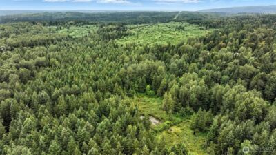 344 XX 102nd Way NE, Carnation, WA 98014 - Photo 3
