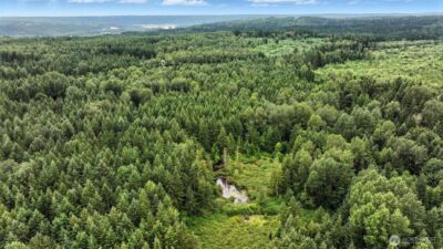 344 XX 102nd Way NE, Carnation, WA 98014 - Photo 4