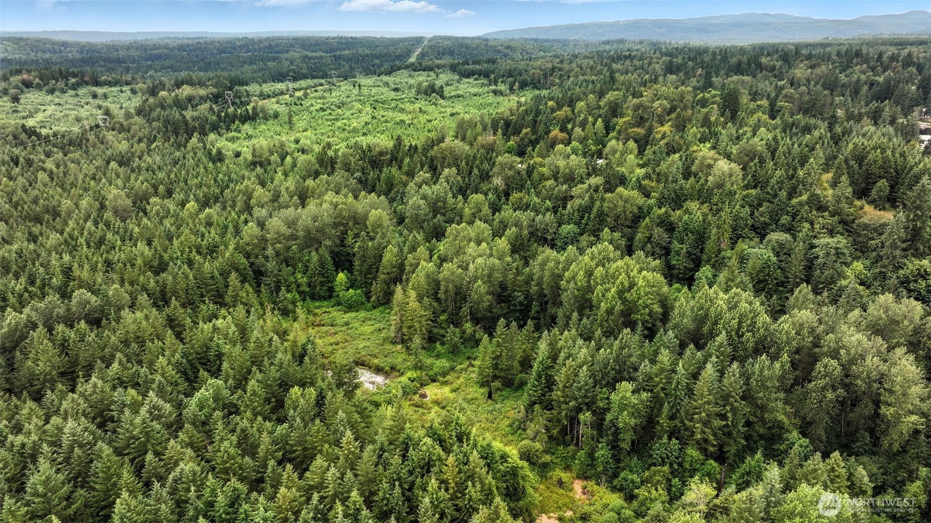 344 XX 102nd Way NE, Carnation, WA 98014