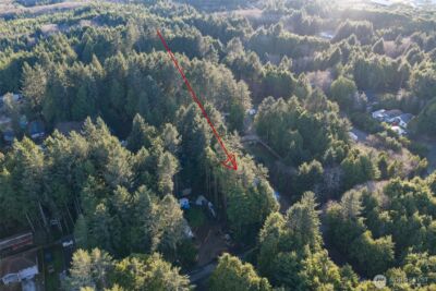 40 Robin Lane , Pacific Beach, WA 98571 - Photo 7