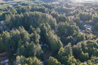 40 Robin Lane , Pacific Beach, WA 98571 - Photo 8