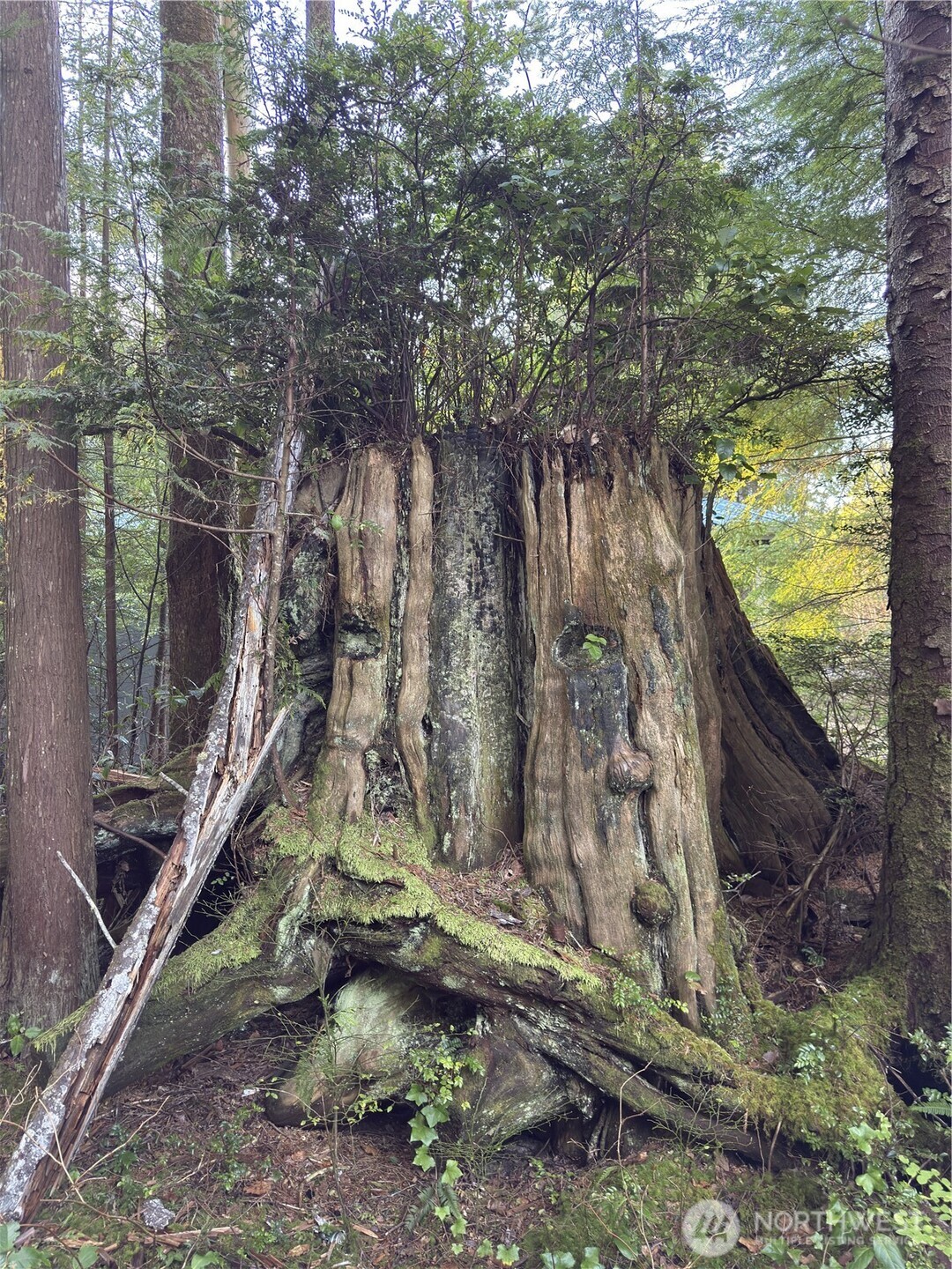 40 Robin Lane , Pacific Beach, WA 98571