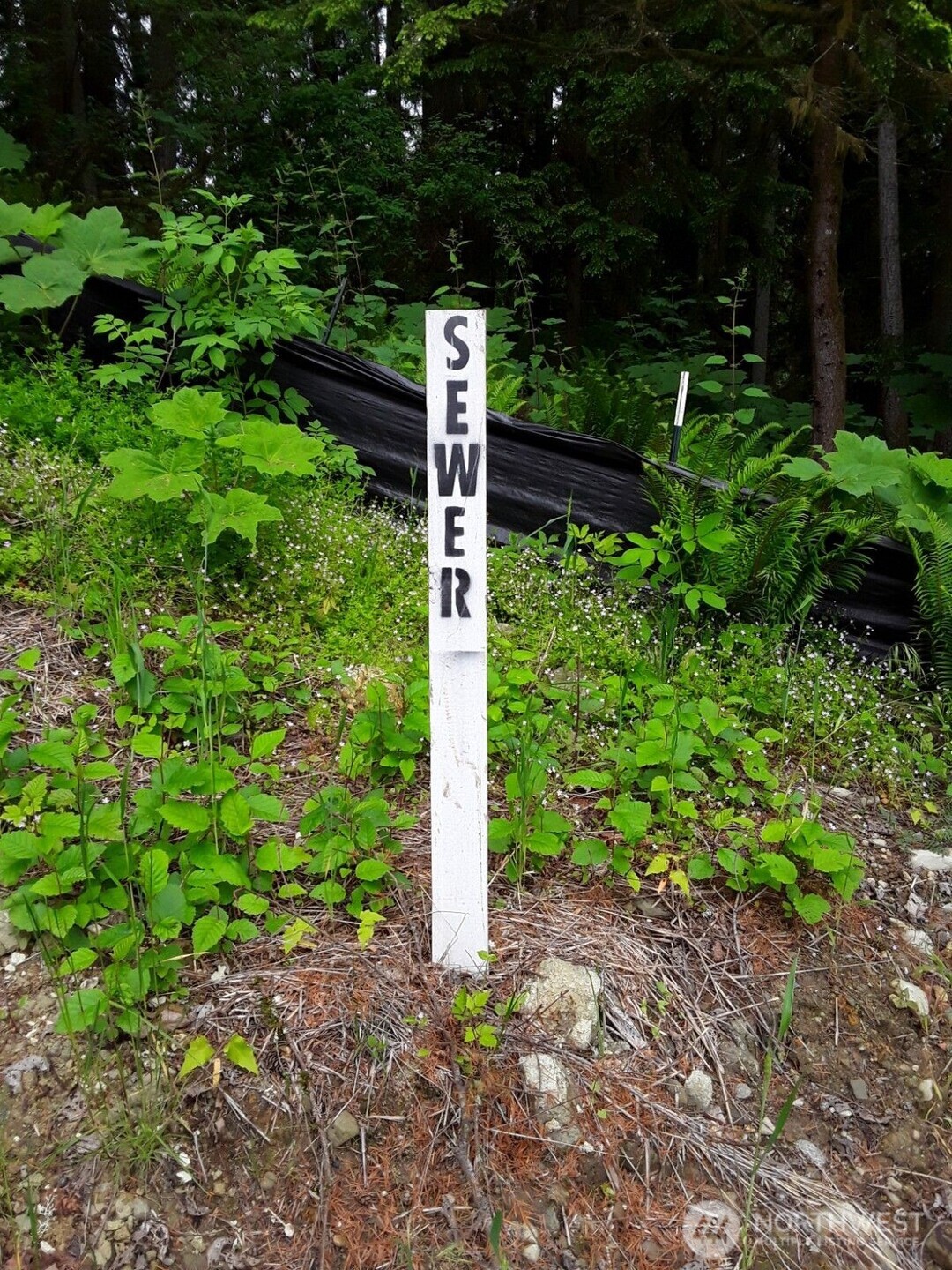 17600 SE Cougar Mountain Drive , Issaquah, WA 98027