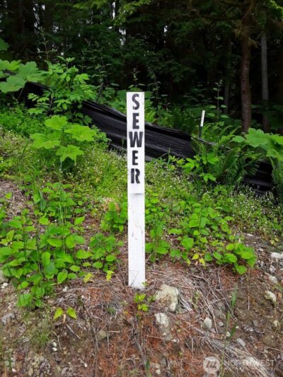 17600 SE Cougar Mountain Drive , Issaquah, WA 98027 - Photo 6