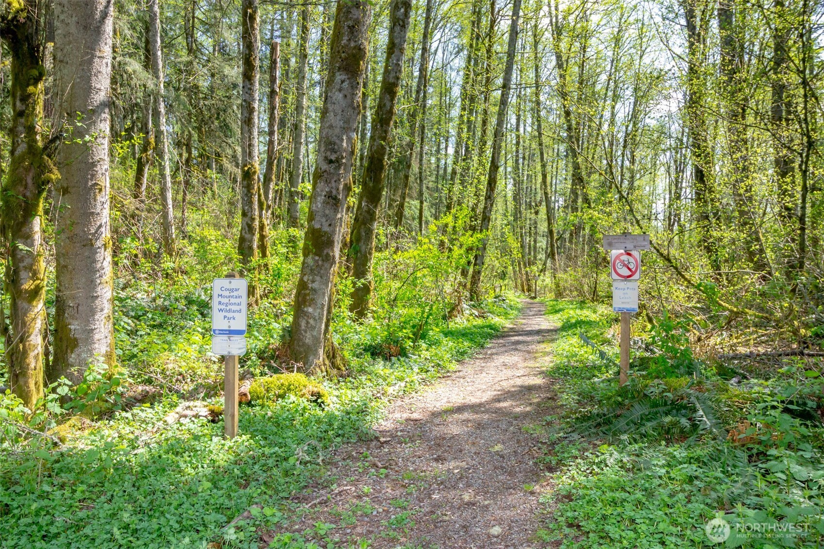 17600 SE Cougar Mountain Drive , Issaquah, WA 98027