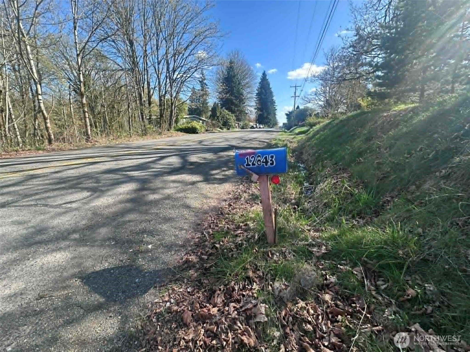 12843 175th Avenue SE, Renton, WA 98059