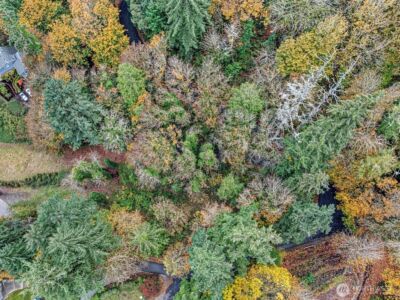 2004 Lybecker Drive NW, Gig Harbor, WA 98332 - Photo 12