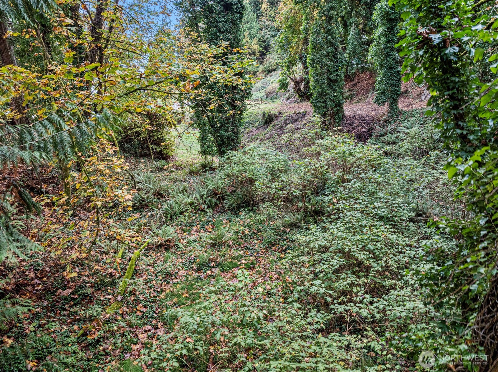 2004 Lybecker Drive NW, Gig Harbor, WA 98332