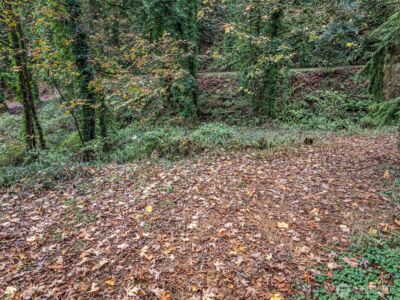 2004 Lybecker Drive NW, Gig Harbor, WA 98332 - Photo 18