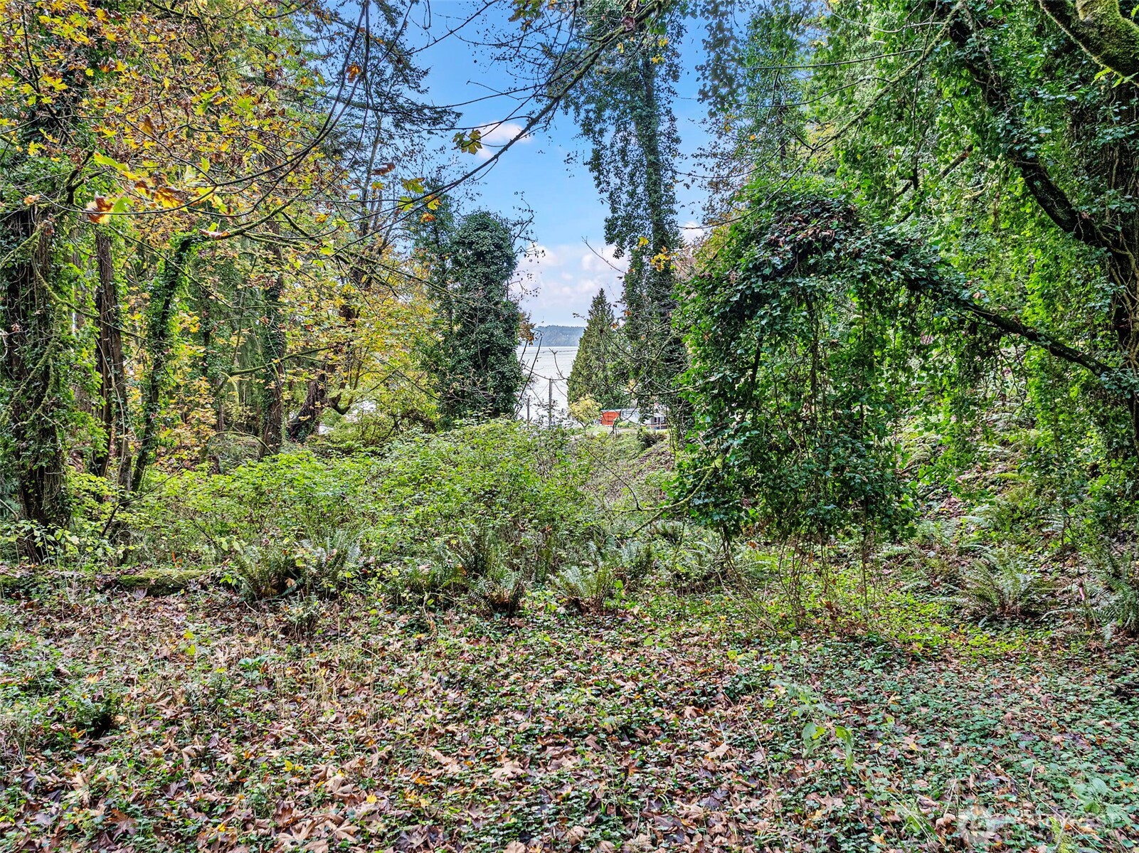 2004 Lybecker Drive NW, Gig Harbor, WA 98332