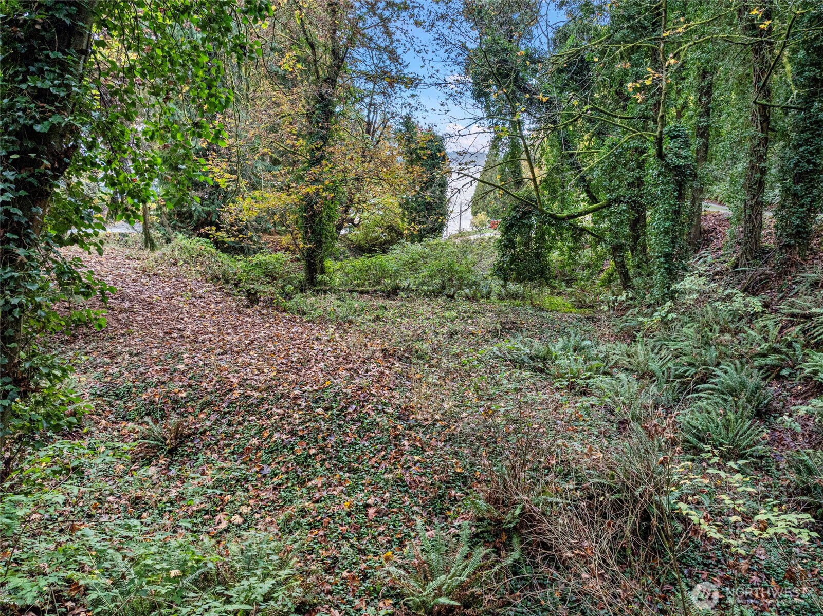 2004 Lybecker Drive NW, Gig Harbor, WA 98332