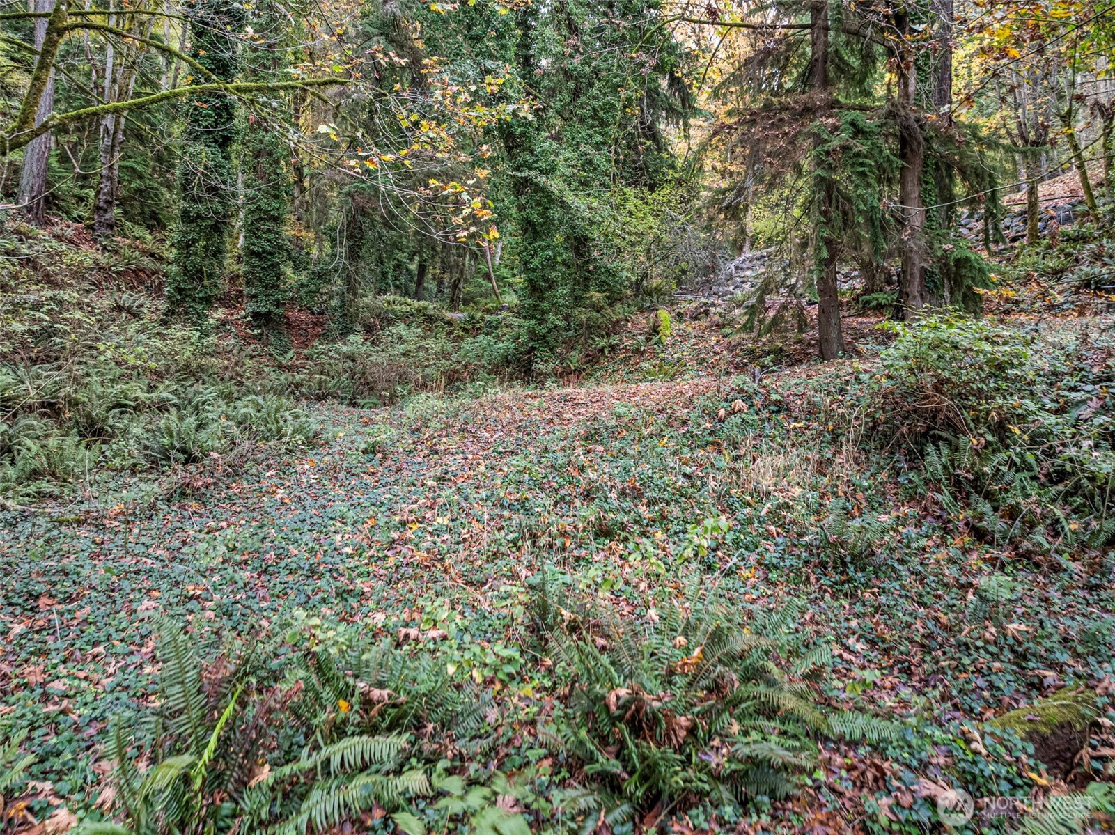 2004 Lybecker Drive NW, Gig Harbor, WA 98332