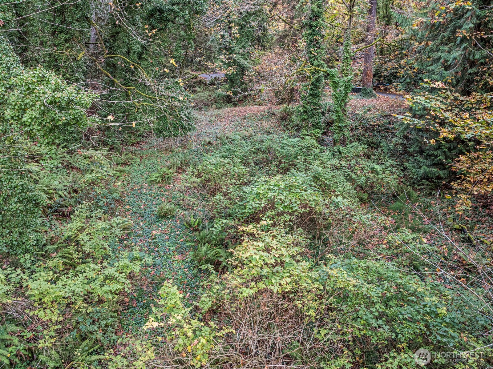 2004 Lybecker Drive NW, Gig Harbor, WA 98332