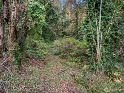 2004 Lybecker Drive NW, Gig Harbor, WA 98332 - Photo 9