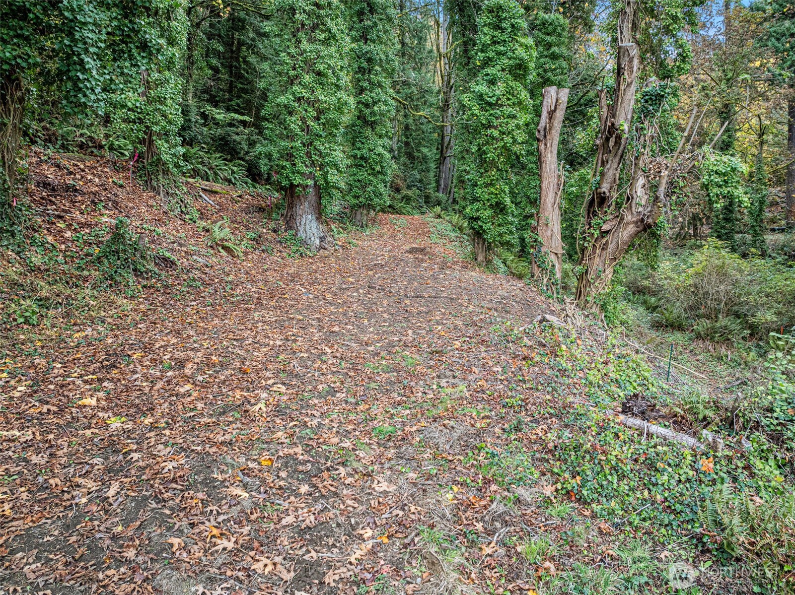 2004 Lybecker Drive NW, Gig Harbor, WA 98332