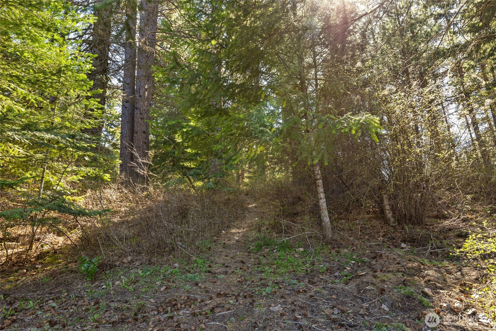 109 S 5th St Alley , Roslyn, WA 98941