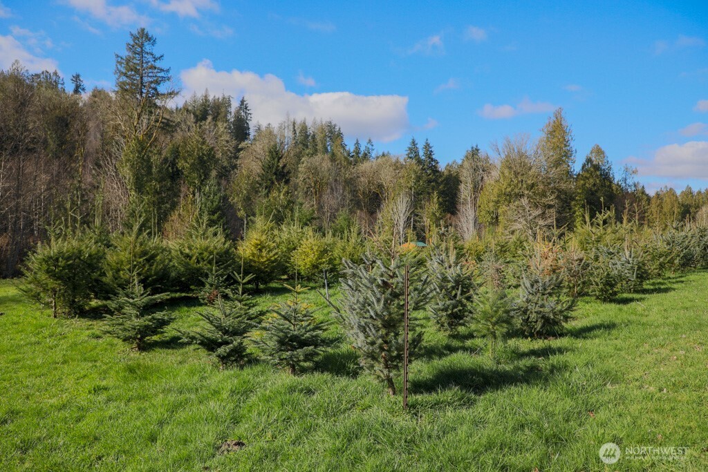 26663 Big Valley Road NE, Poulsbo, WA 98370