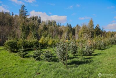 26663 Big Valley Road NE, Poulsbo, WA 98370 - Photo 9