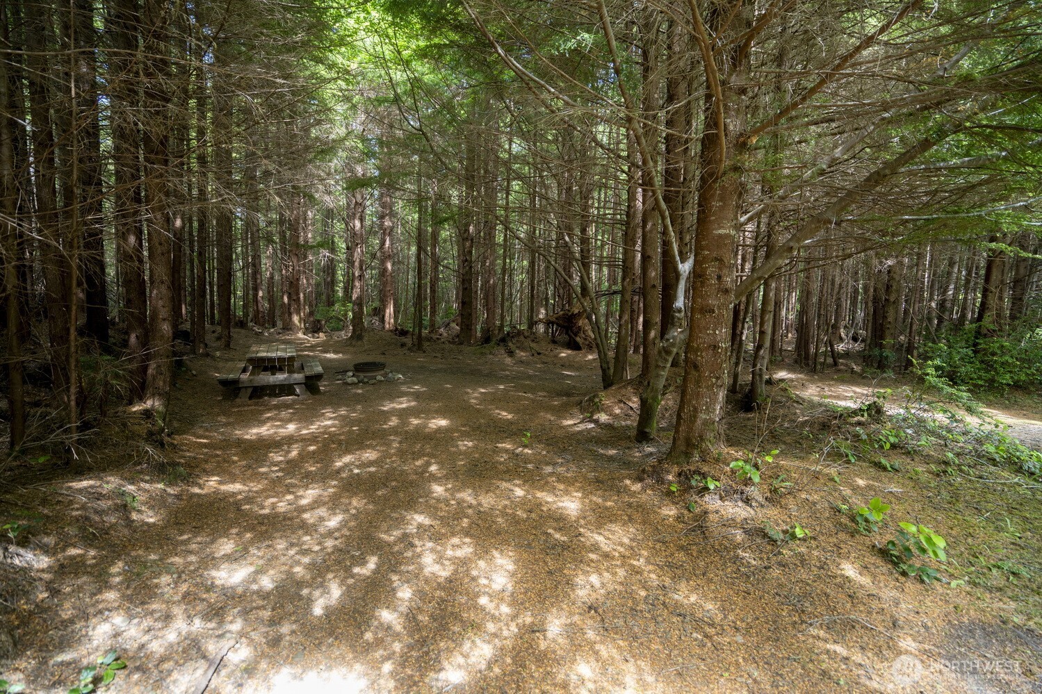 20860 Hoko-Ozette Road , Clallam Bay, WA 98326