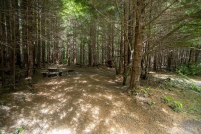 20860 Hoko-Ozette Road , Clallam Bay, WA 98326 - Photo 15