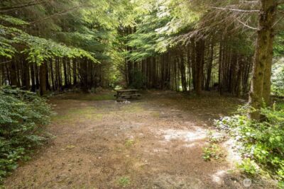 20860 Hoko-Ozette Road , Clallam Bay, WA 98326 - Photo 16