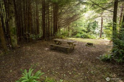 20860 Hoko-Ozette Road , Clallam Bay, WA 98326 - Photo 17