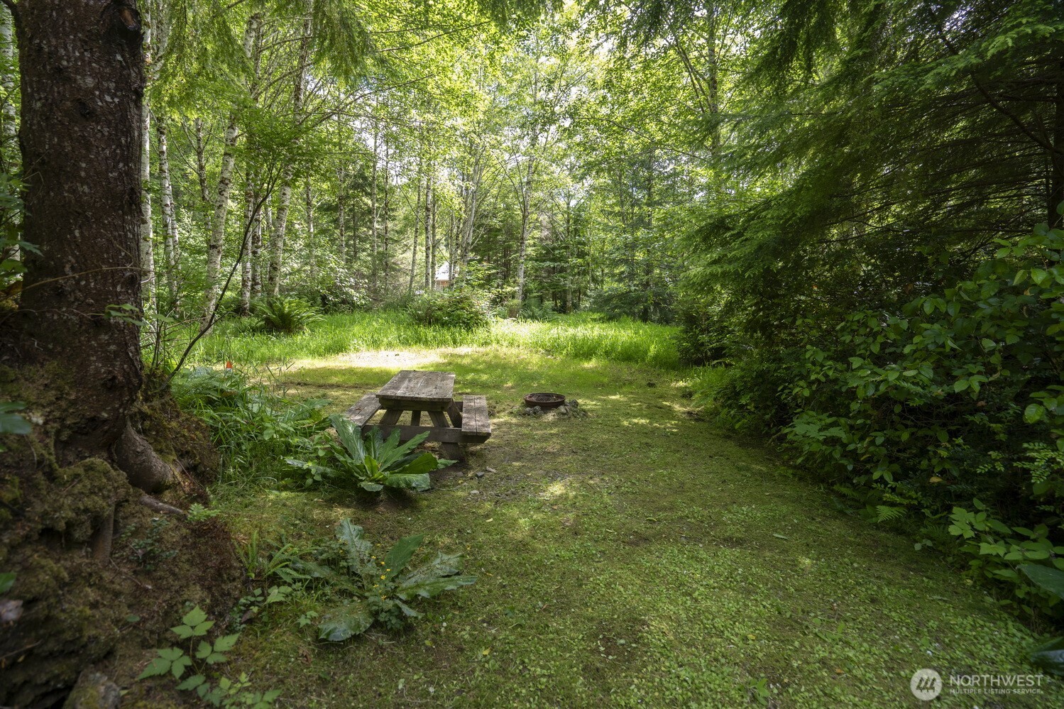20860 Hoko-Ozette Road , Clallam Bay, WA 98326